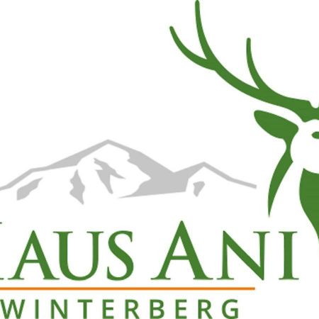 Haus Ani Winterberg Villa Buitenkant foto