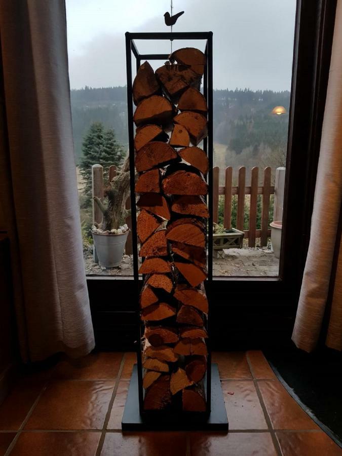 Haus Ani Winterberg Villa Buitenkant foto