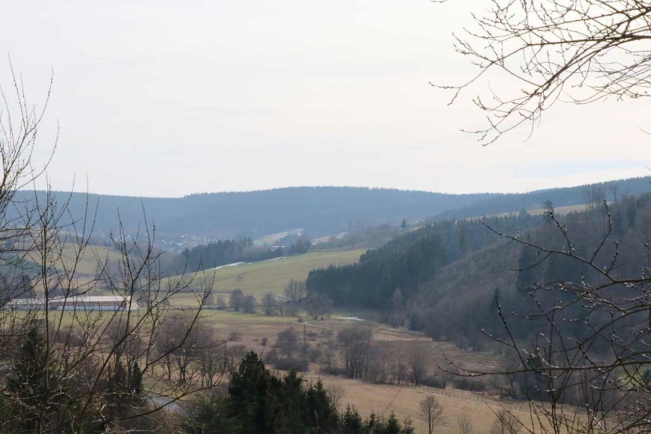 Haus Ani Winterberg Villa Buitenkant foto