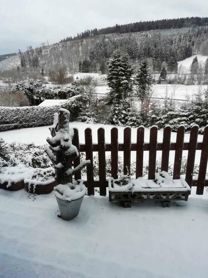 Haus Ani Winterberg Villa Buitenkant foto