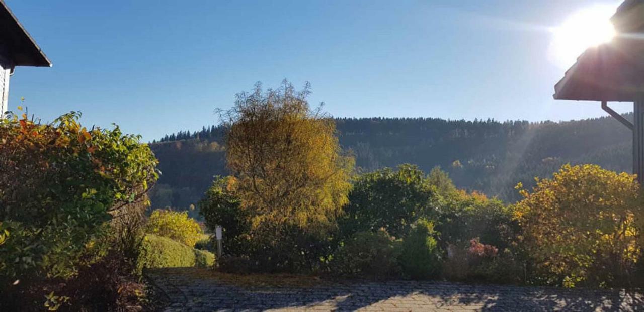 Haus Ani Winterberg Villa Buitenkant foto